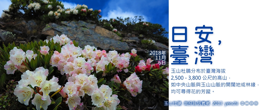 365 日安，臺灣之2018年11月6日